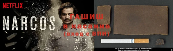 дживик Богородицк