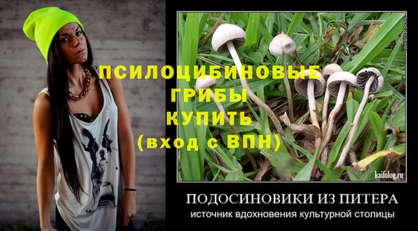 дмт Богданович
