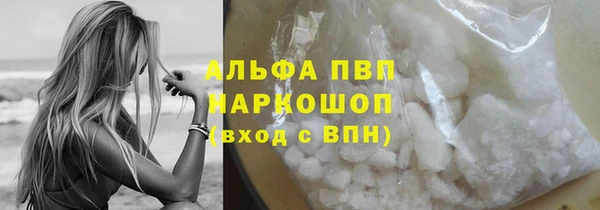 дмт Богданович