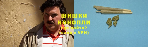 дживик Богородицк
