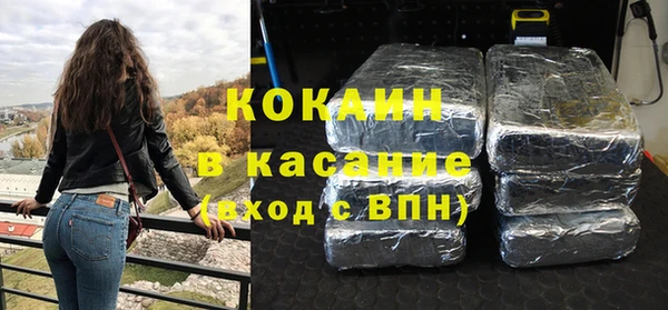 дживик Богородицк