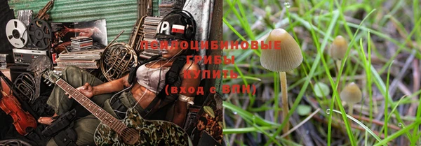 дживик Богородицк