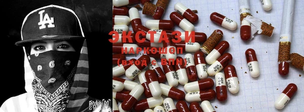 дмт Богданович