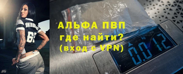 дмт Богданович